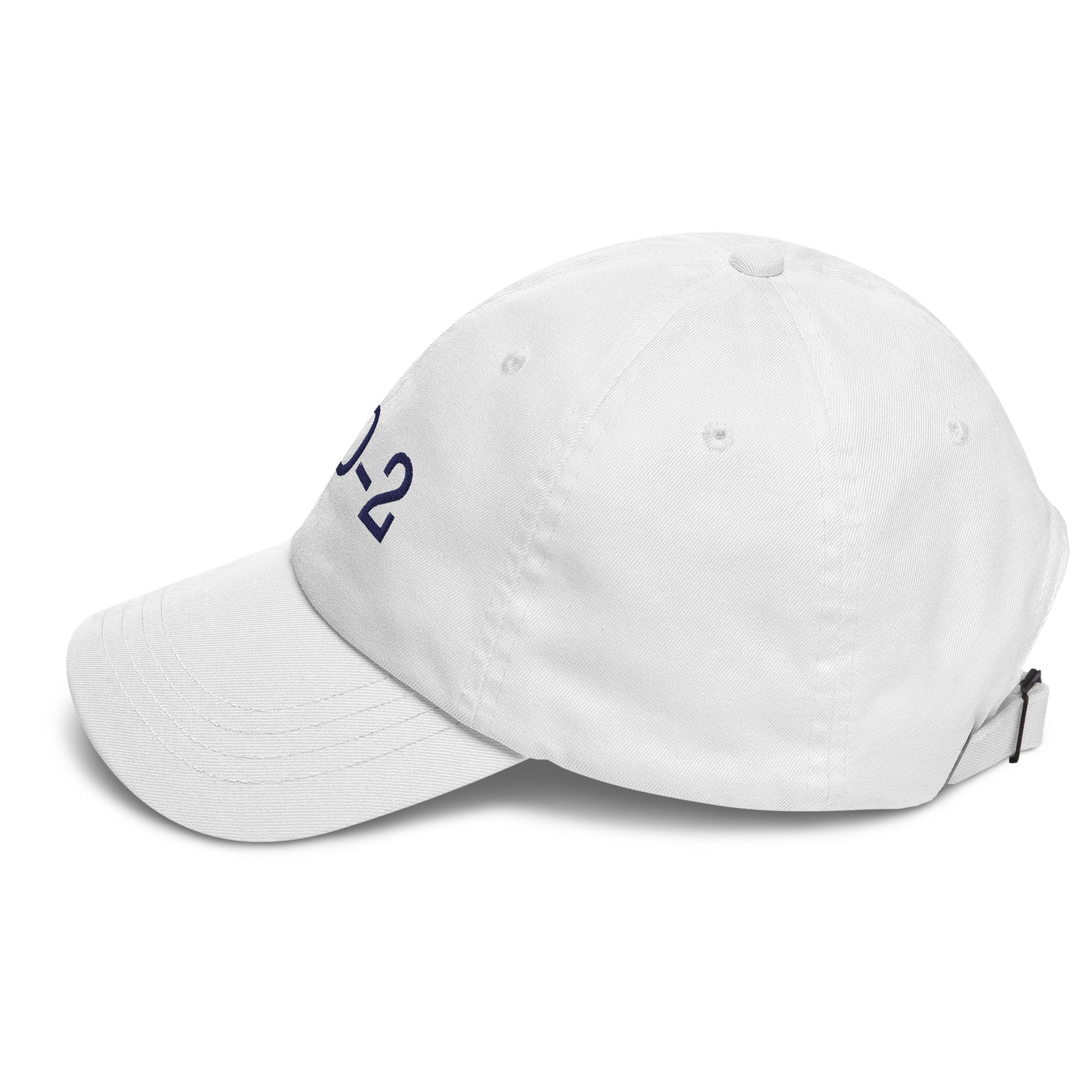 Pickleball 002 Adult Hat Blue Embroidery - Multiple Colors Available